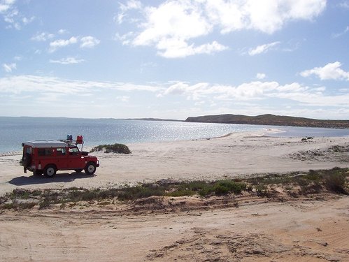 sharkbay 08 014.jpg