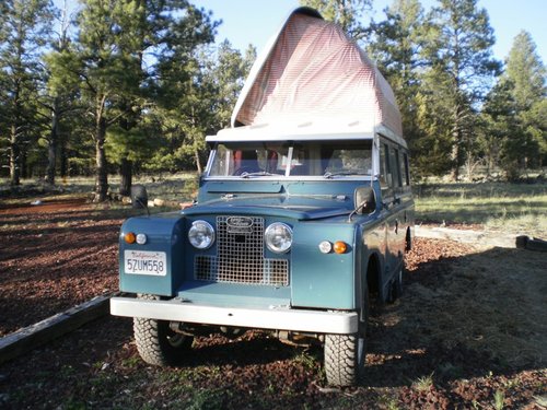 Williams, AZ campsite backing onto National Forest lands